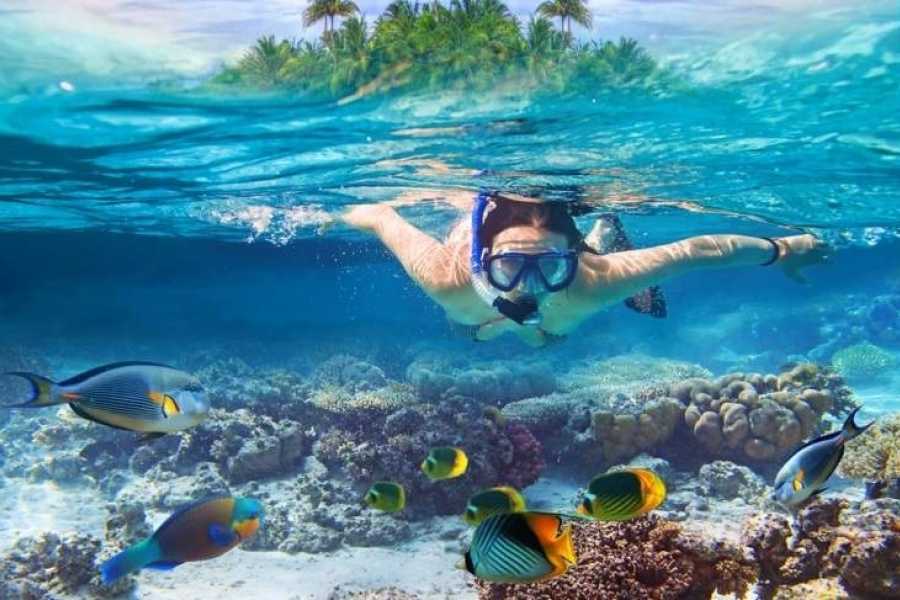 Erleben Sie einen unvergesslichen Tag am Strand von Sharm El Naga. Schnorcheln Sie und genießen Sie das Unterwasser-Schutzgebiet mit herrlichen Korallen, bunten Fischen und exotischen Meerestieren.