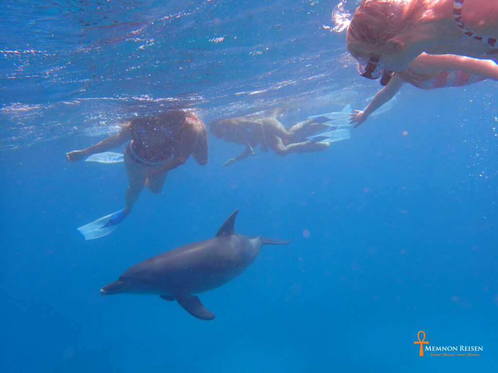 Tanz der Delfine in Hurghada - 2 Tage mit Übernachtung