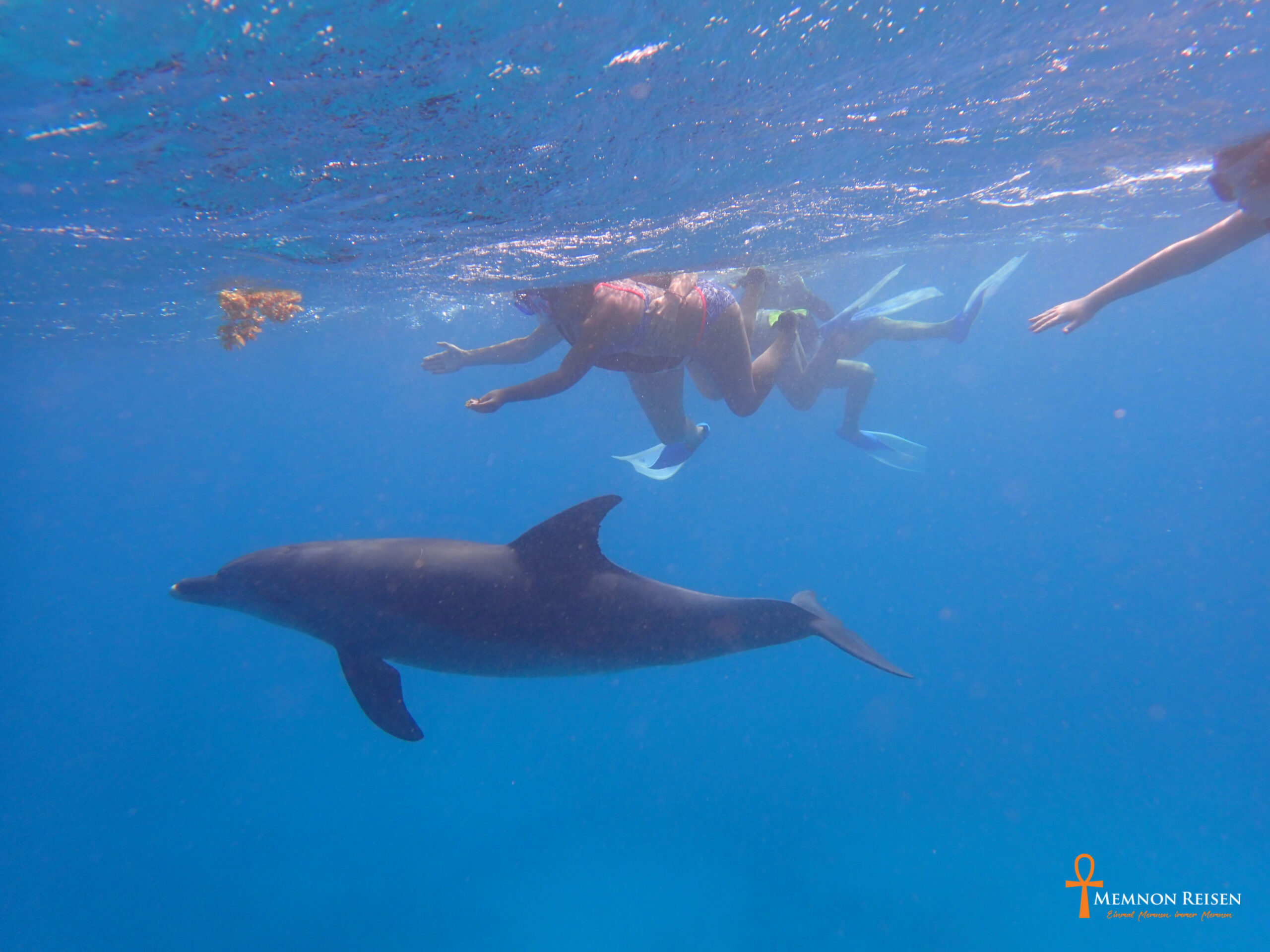 Tanz der Delfine in Hurghada 2 Tage mit Übernachtung