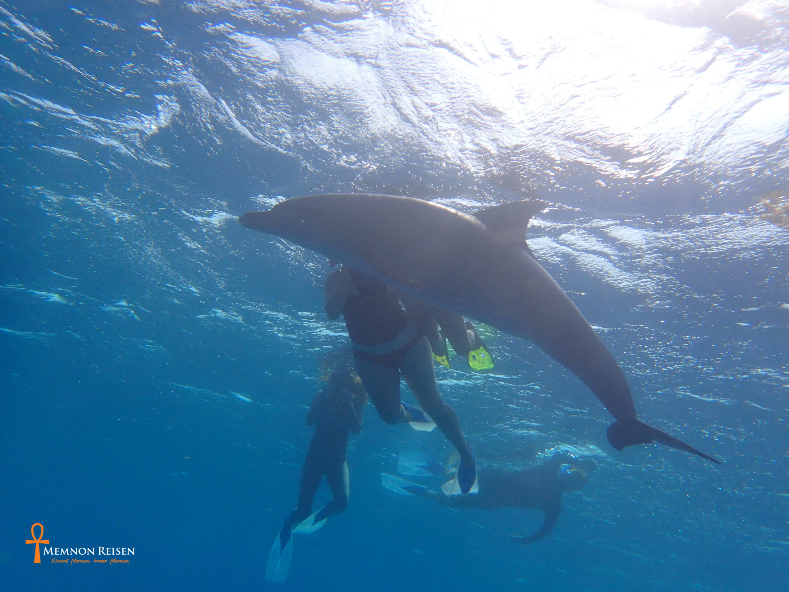 Tanz der Delfine in Hurghada 2 Tage mit Übernachtung