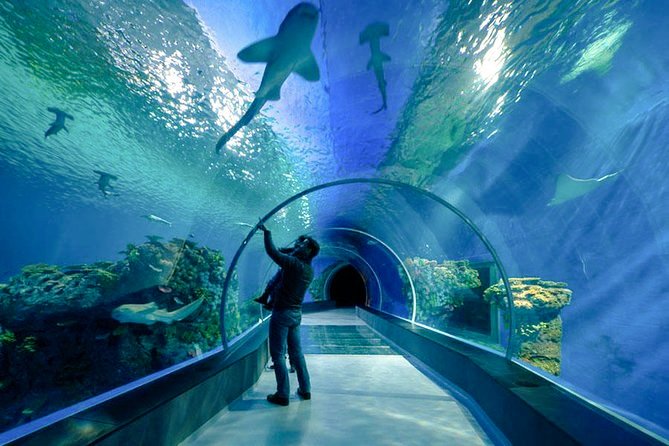 Hurghada Grand Aquarium Ausflug
