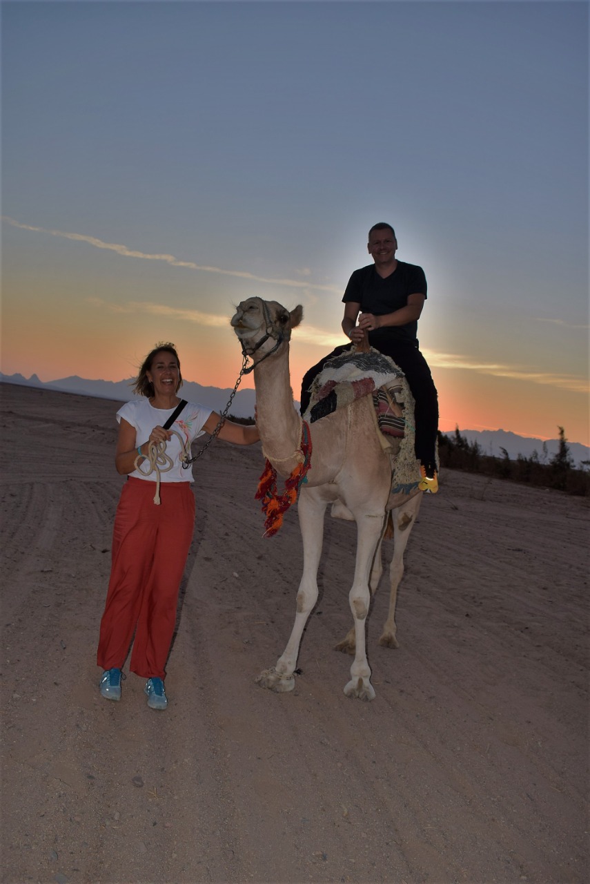 Hurghada Wüstentour + Sterne beobachten und Abendessen