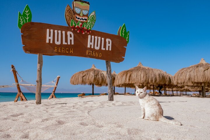 Hola Hola Schnorchelausflug Hurghada