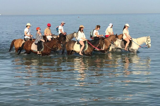 Pferde Reiten Hurghada