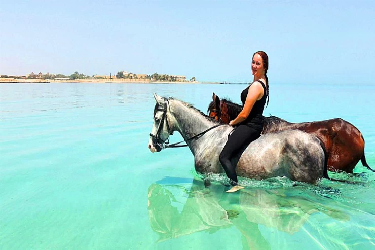 Pferde Reiten Hurghada