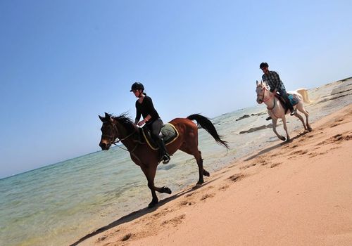 Pferde Reiten Hurghada