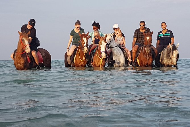 Pferde Reiten Hurghada