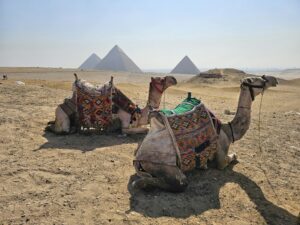 Tagesausflüge nach Kairo ab Makadi bay