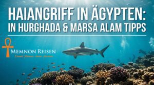 Haiangriff in Ägypten: in Hurghada & Marsa Alam Tipps