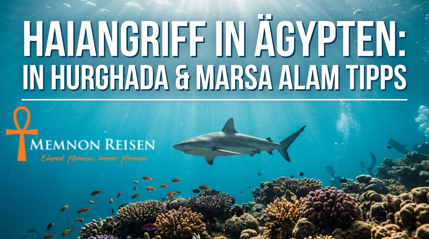Haiangriff in Ägypten: in Hurghada & Marsa Alam Tipps