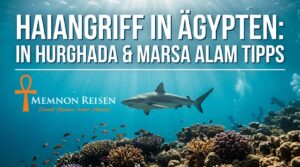 Haiangriff in Ägypten: in Hurghada & Marsa Alam Tipps