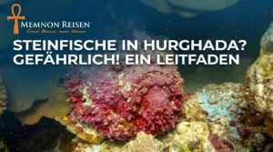 Steinfische gefährlich in hurghada?