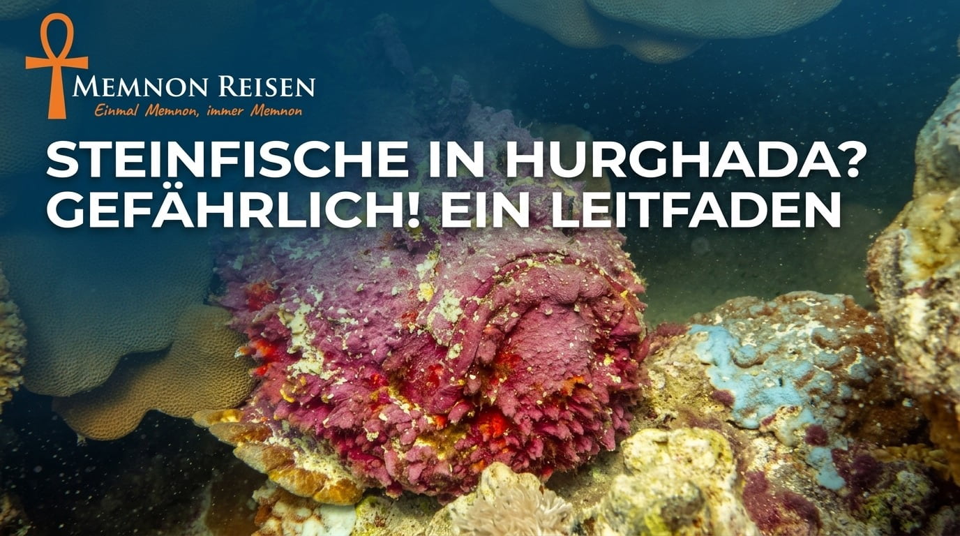 Steinfische gefährlich in hurghada?