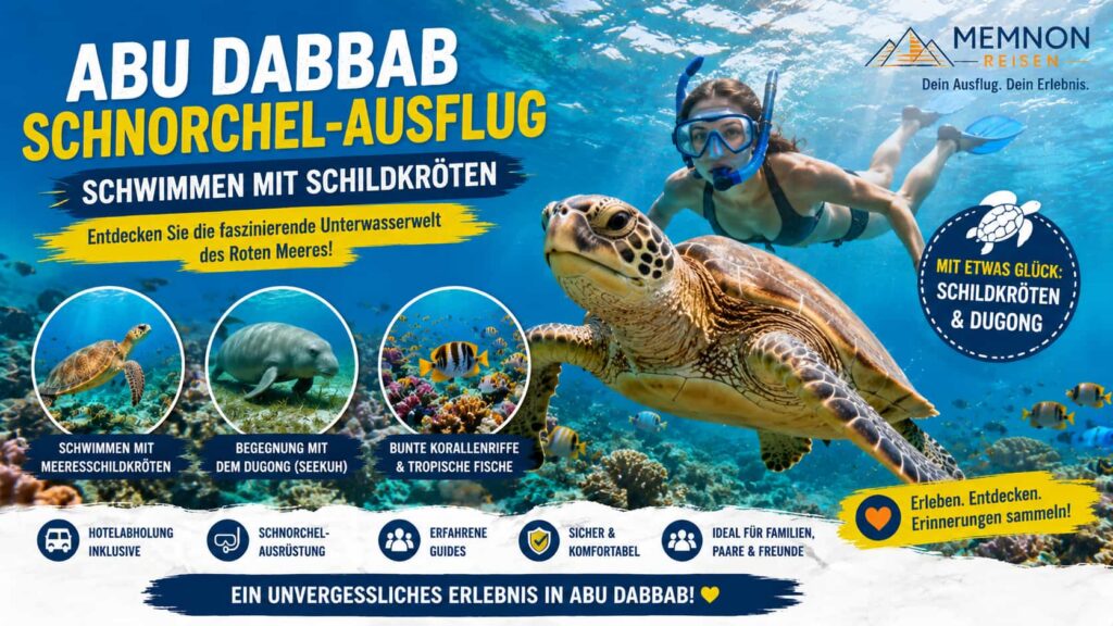 Abu Dabbab Schnorchel-Ausflug| Schwimmen mit Schildkröten