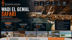 Wadi El Gemal Safari ab Marsa Alam | Nationalpark, Wüste & Meer