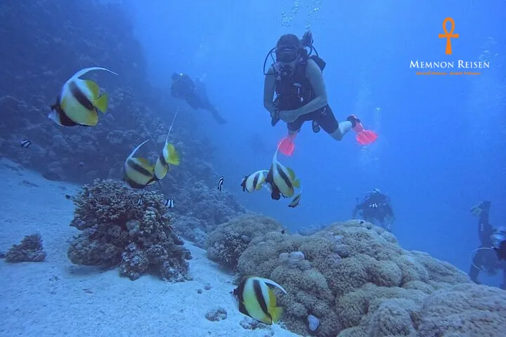 Schnuppertauchen in Hurghada – Dein erster Tauchgang im Roten Meer