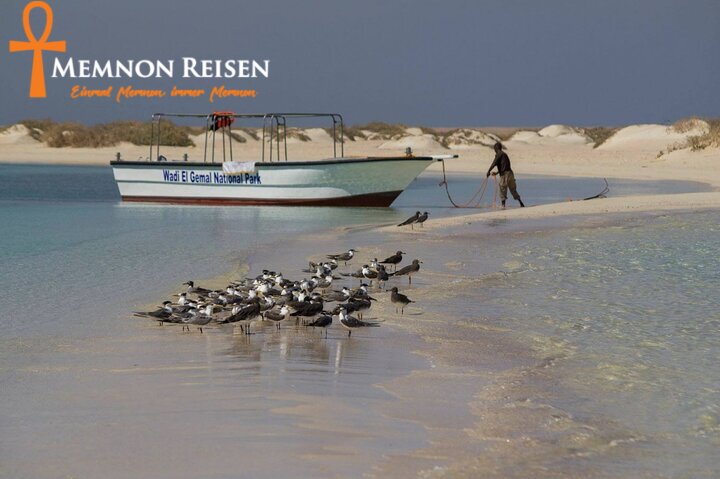 Wadi El Gemal Safari ab Marsa Alam | Nationalpark, Wüste & Meer