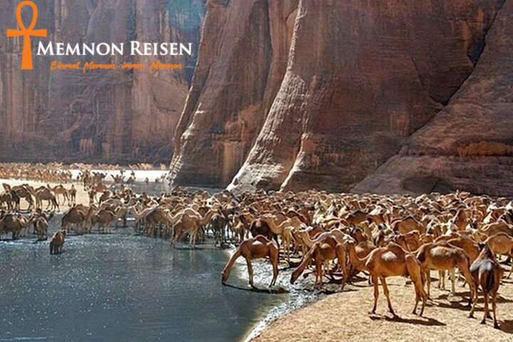 Wadi El Gemal Safari ab Marsa Alam | Nationalpark, Wüste & Meer