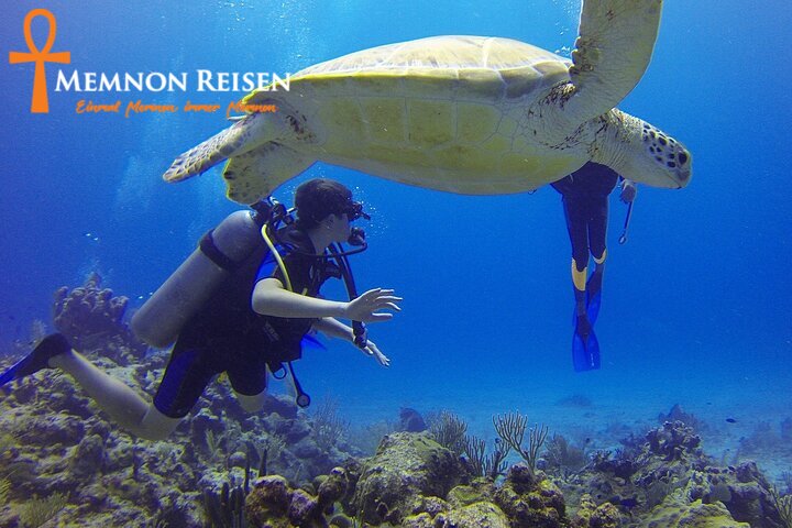 ad (2) Ras Mohammed Nationalpark Tour ab Sharm El Sheikh | Schnorcheln & Natur