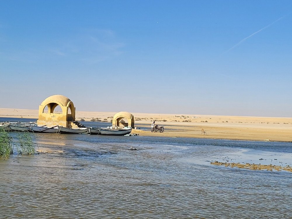 Fayum Oase Tagesausflug ab Kairo | Wadi El Rayan & Wasserfälle
