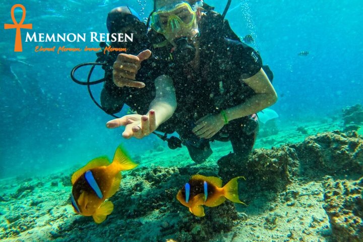 caption - 2026-08-09T133543.621 Ras Mohammed Nationalpark Tour ab Sharm El Sheikh | Schnorcheln & Natur