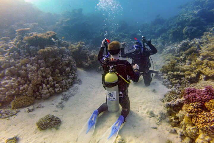 Wracktauchen Thistlegorm ab Hurghada | Legendäres Wrack im Roten Meer