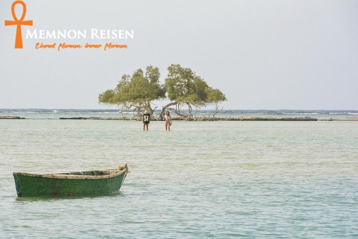 Wadi El Gemal Safari ab Marsa Alam | Nationalpark, Wüste & Meer