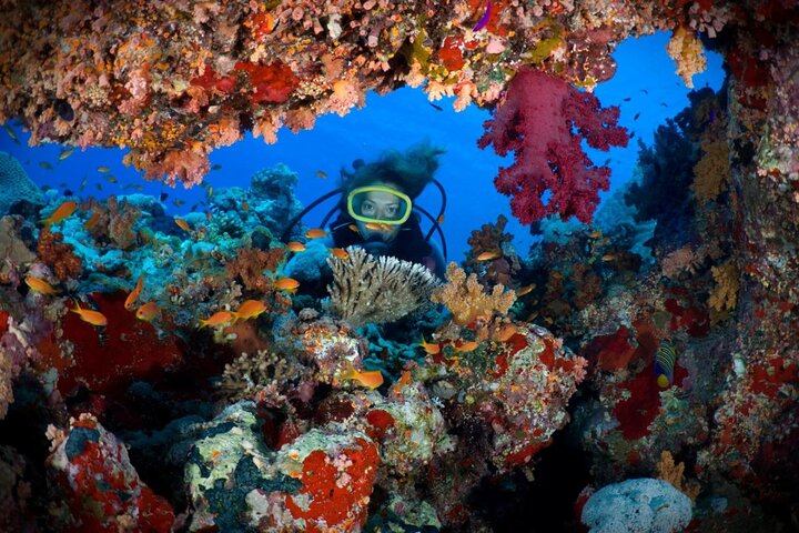 Schnuppertauchen Hurghada | Erster Tauchgang ohne PADI-Kurs