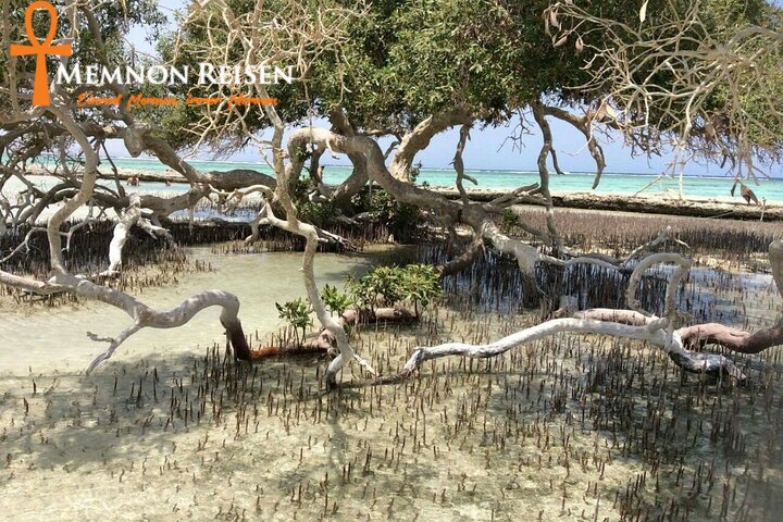 Wadi El Gemal Safari ab Marsa Alam | Nationalpark, Wüste & Meer