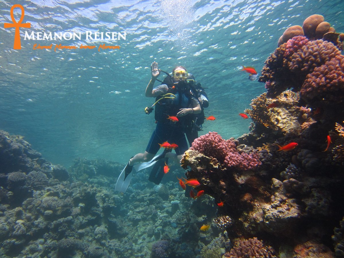 diving-near-the-pos-mohammed Ras Mohammed Nationalpark Tour ab Sharm El Sheikh | Schnorcheln & Natur