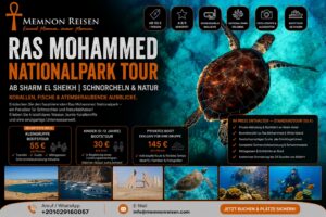 Ras Mohammed Nationalpark Tour ab Sharm El Sheikh | Schnorcheln & Natur