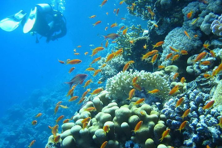 Wracktauchen Thistlegorm ab Hurghada | Legendäres Wrack im Roten Meer