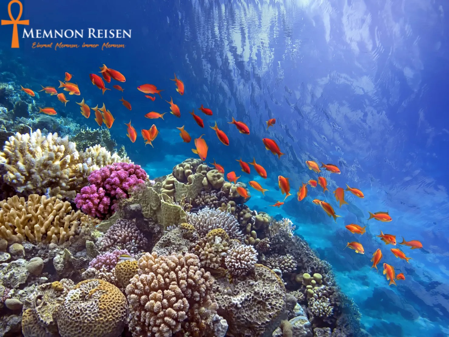 img (11)-ink (1) Blue Hole Dahab Schnorcheltour ab Sharm El Sheikh | Tagesausflug