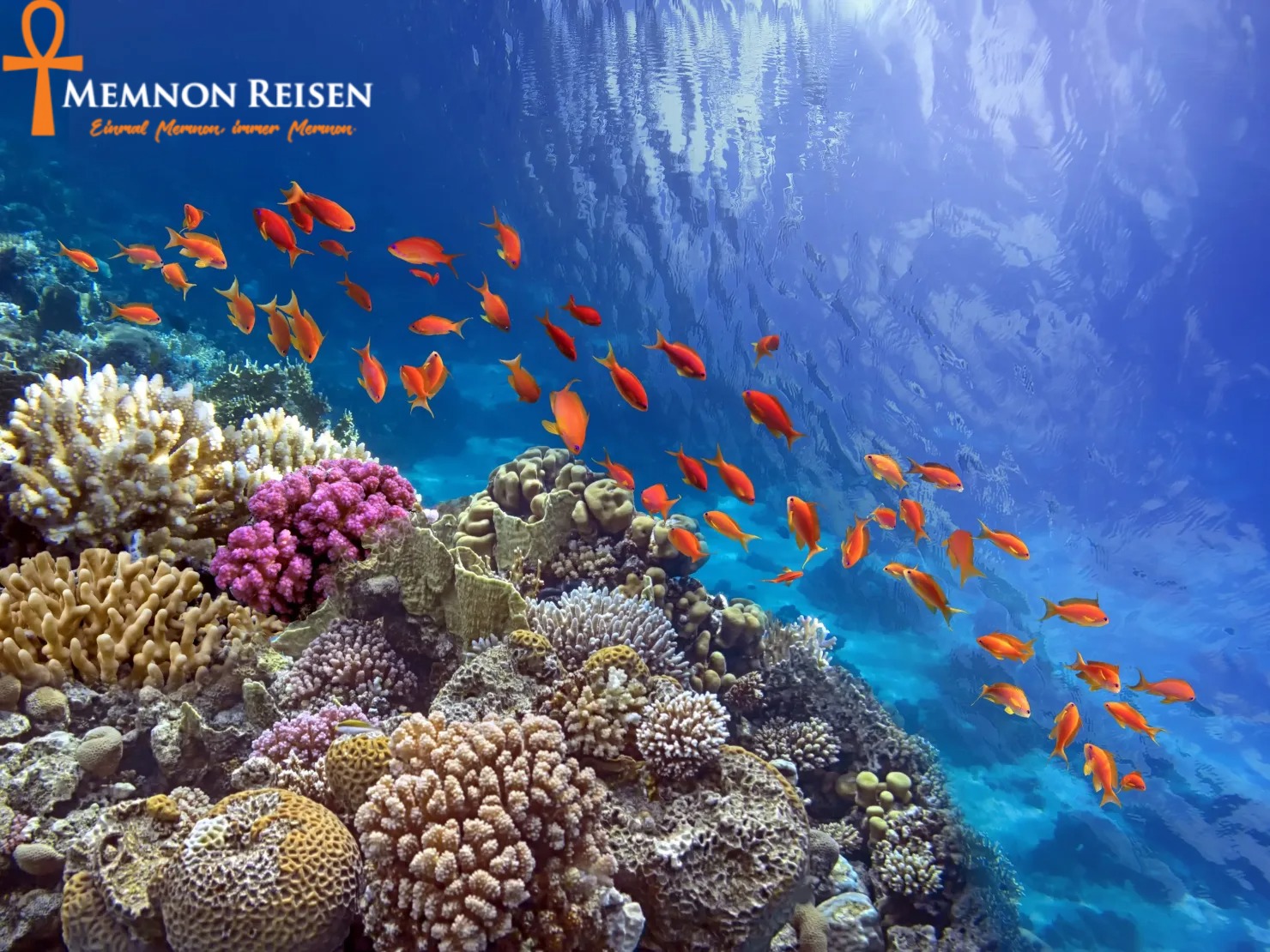 img (11)-ink Blue Hole Dahab Schnorcheltour ab Sharm El Sheikh | Tagesausflug