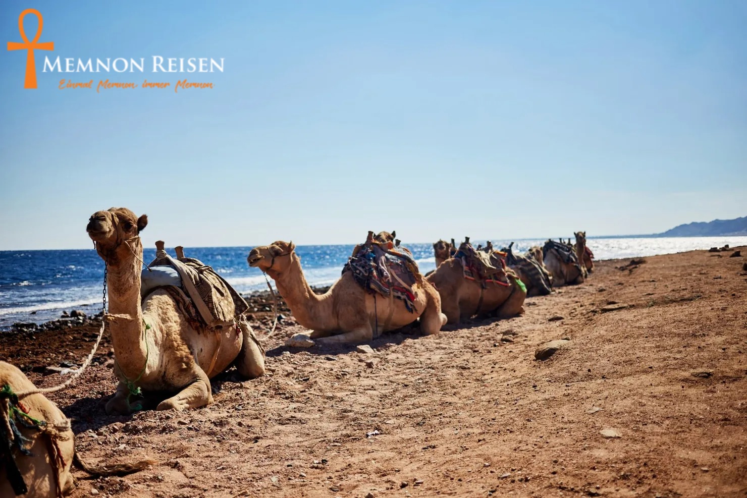 img (15)-ink Blue Hole Dahab Schnorcheltour ab Sharm El Sheikh | Tagesausflug