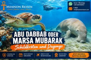 Abu Dabbab oder Marsa Mubarak : Schildkröten und Dugongs