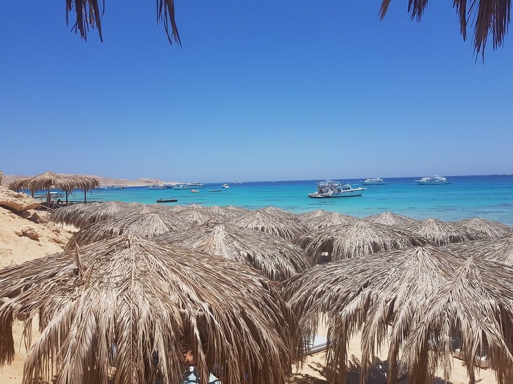 Orange Bay, Mahmya oder Paradise Island : Der Inselvergleich