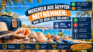 Muscheln aus Ägypten mitnehmen : Was ist beim Zoll erlaubt?