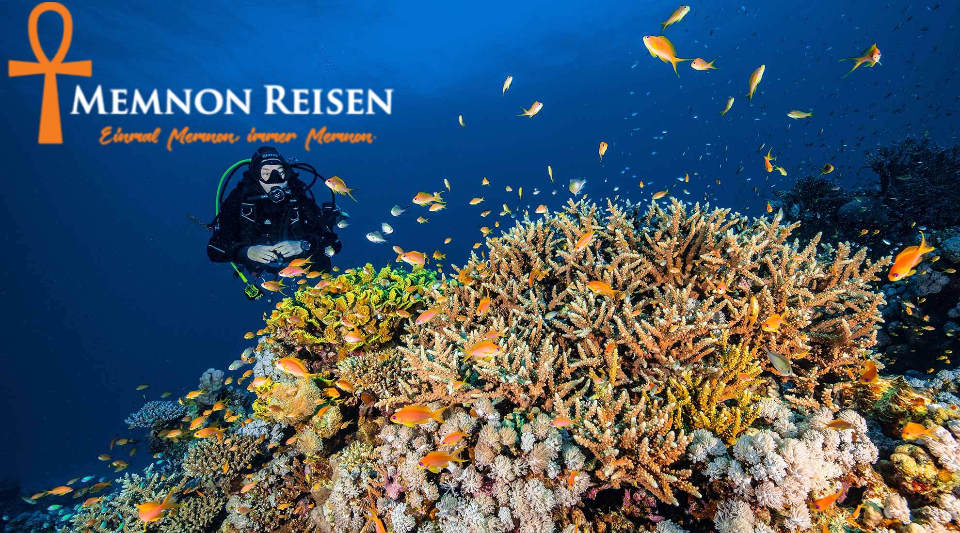 Marsa-Alam-Snorkeling-spots Hurghada oder Sharm el-Sheikh : Der große Vergleich 2027