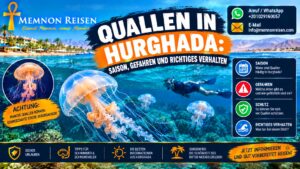 Quallen in Hurghada: Saison, Gefahren und richtiges Verhalten