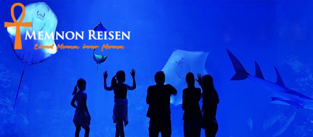 behind-the-scene (1) Grand Aquarium Hurghada: Preise, Tickets und Transfer 2027