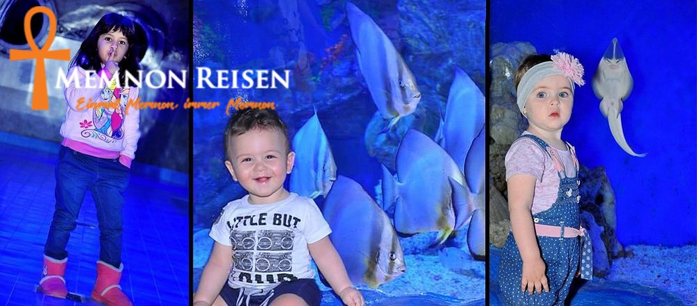 behind-the-scene (4) Grand Aquarium Hurghada: Preise, Tickets und Transfer 2027