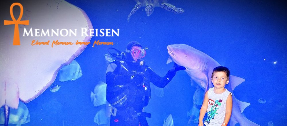 behind-the-scene (5) Grand Aquarium Hurghada: Preise, Tickets und Transfer 2027