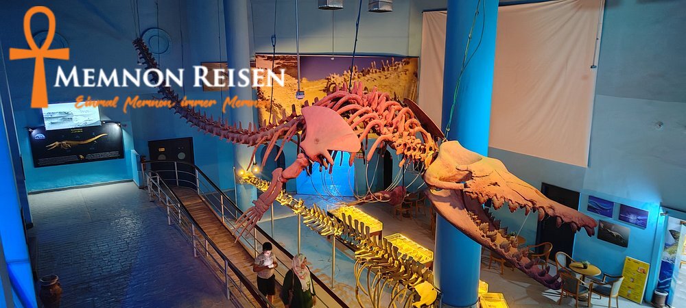 caption - 2026-09-09T143553.051 Grand Aquarium Hurghada: Preise, Tickets und Transfer 2027
