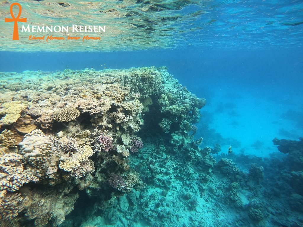 faraana-reef-resort (1) Hurghada oder Sharm el-Sheikh : Der große Vergleich 2027
