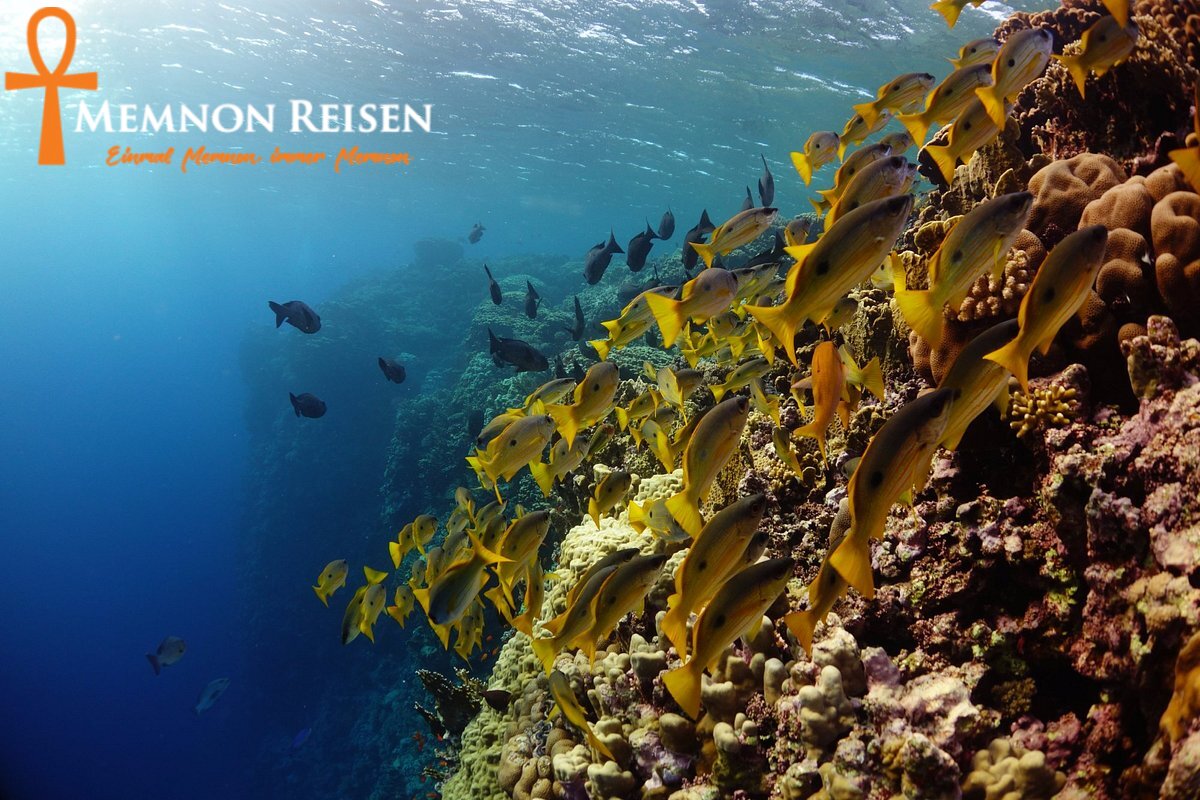 Hurghada oder Marsa Alam 2027 : Welcher Urlaubsort ist besser?