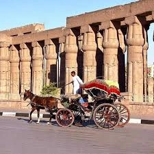 Kutschenfahrt Luxor – Hantour Abendtour
