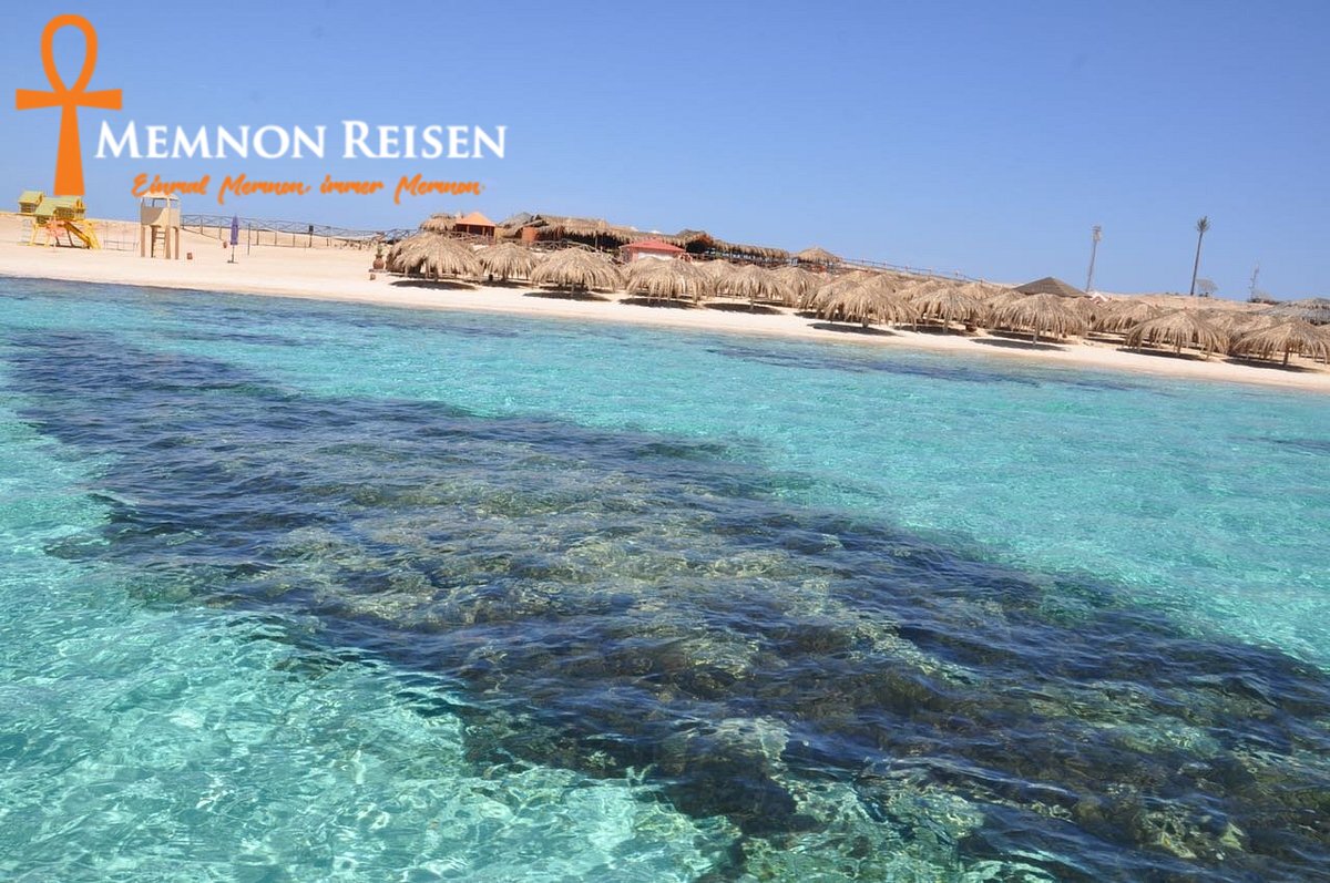 Orange Bay, Mahmya oder Paradise Island : Der Inselvergleich