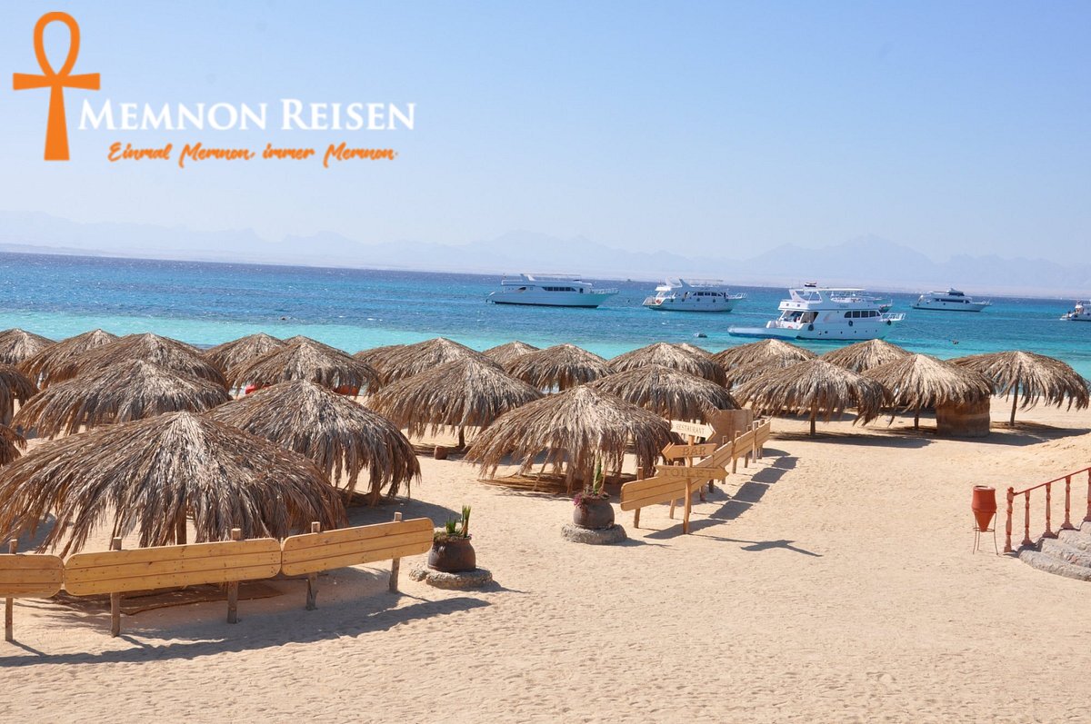 Orange Bay, Mahmya oder Paradise Island : Der Inselvergleich