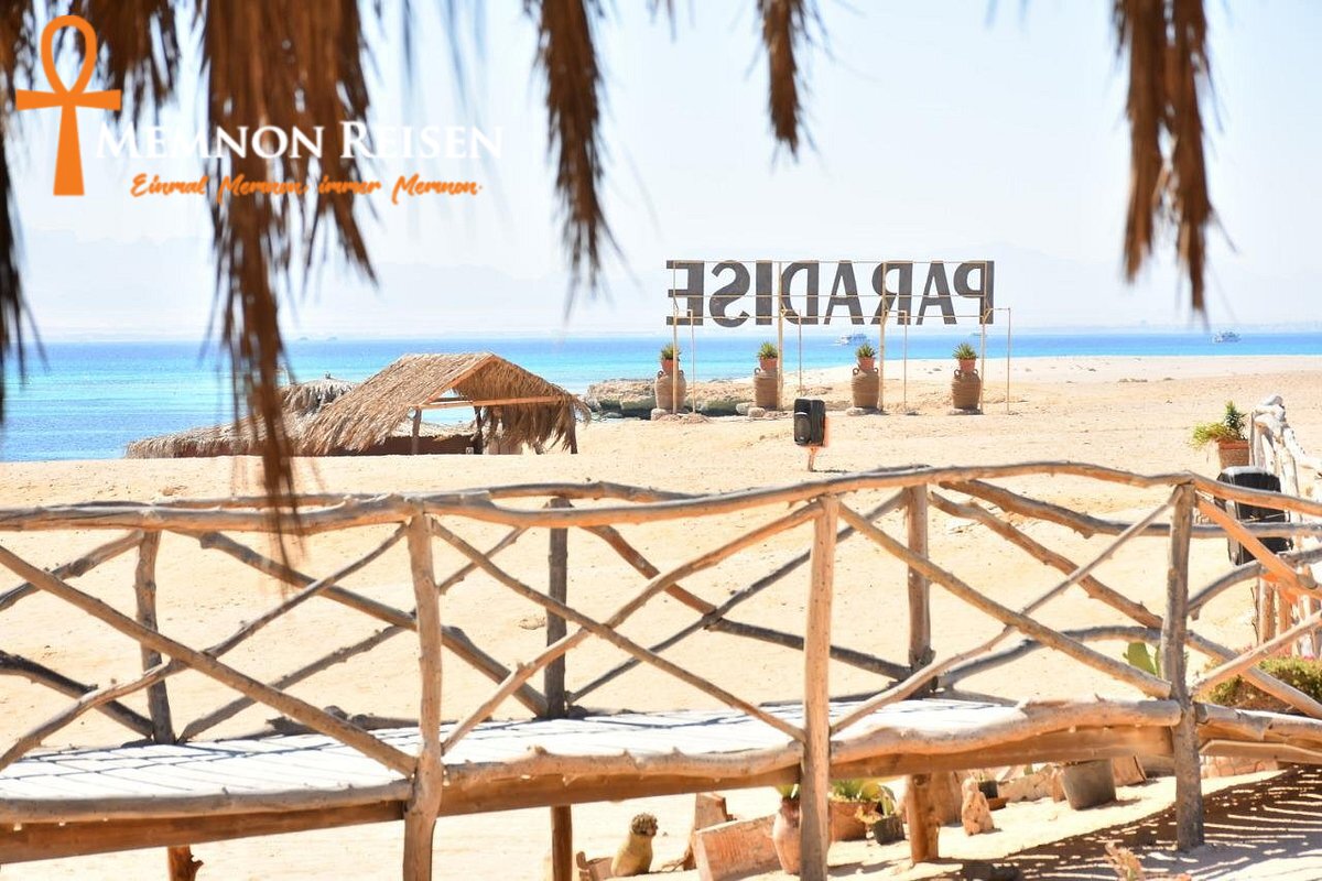 Orange Bay, Mahmya oder Paradise Island : Der Inselvergleich